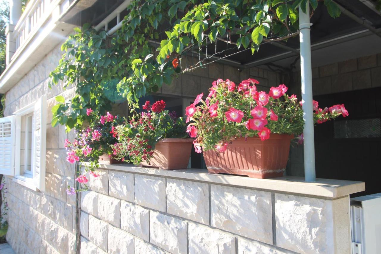 Apartment Ruzica Zrnovo エクステリア 写真
